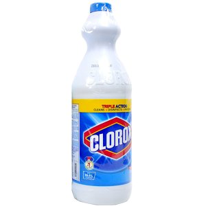 CLOROX Bleach Regular