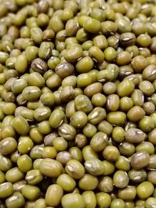 Green Mung Bean