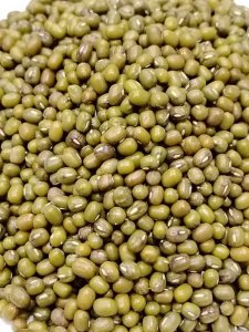 Green Mung Bean